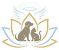shanthidaama pets funeral services